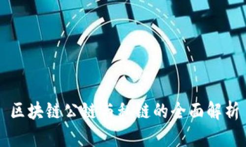区块链公链与私链的全面解析